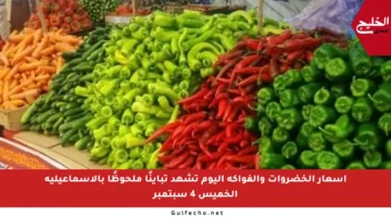 أسعار الخضروات والفواكه اليوم تشهد تباينًا ملحوظًا بالإسماعيلية الخميس 4 سبتمبر